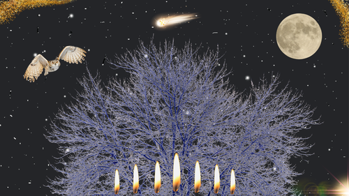 Light in the Dark, I started with Kara's No Yellow Leaves in Tree photograph, modified it and added other elements in Canva.